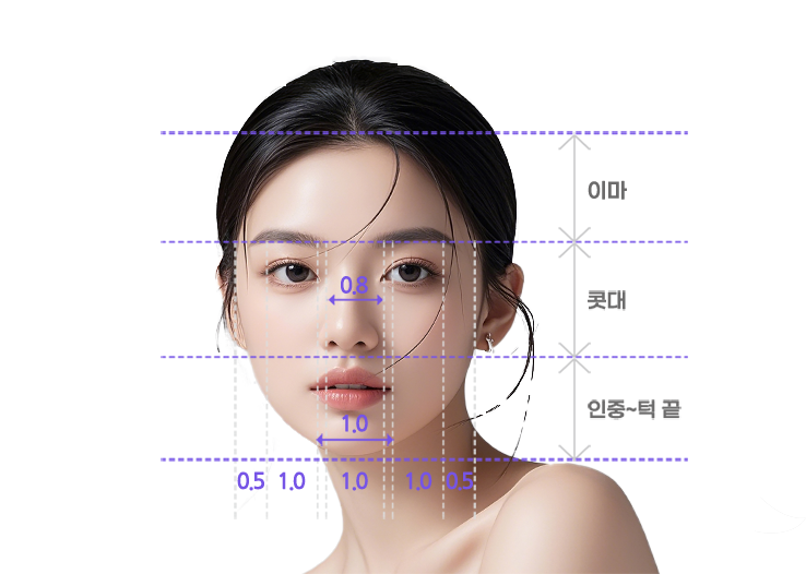 Tỷ lệ mũi lý tưởng — sơ đồ đo tỷ lệ ngang và dọc khuôn mặt (1:1:0.8)