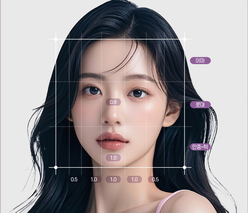 Sơ đồ phân tích tỷ lệ khuôn mặt lý tưởng